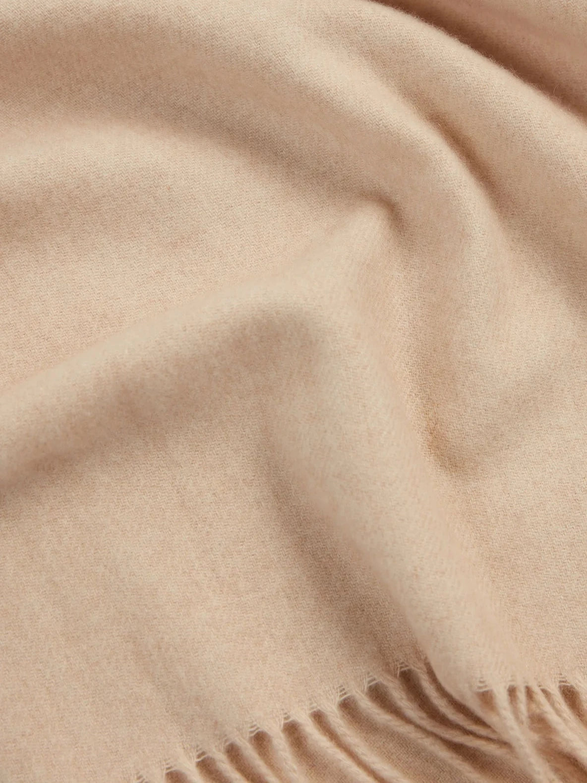 "Marco Polo" Cashmere Scarf